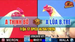Trận 17 CPC3 14/04/2026 - Đỏ Đâm Xanh Kêu Miệng Chạy Quanh Bồ