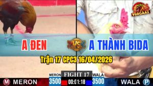 Trận 17 CPC3 16/04/2026 - Điều Đá Vài Chân  Bướm Nằm 1 Đóng