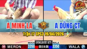 Trận 17 CPC3 19/04/2026 - Camelo Phóng Ăn 5 Và Cái Kết Bướm Đá Hết Đứng