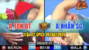 Trận 17 CPC3 20/04/2026 - Xanh Đâm Hư Giò Đỏ Nằm Gục Chịu Thua