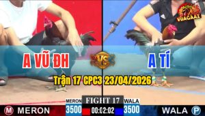 Trận 17 CPC3 23/04/2026 - Gà Xanh Lùa 1 Hơi Không Cho Đỏ Cơ Hội