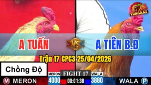 Trận 17 CPC3 25/04/2026 - Anh Tuấn Chồng Độ Bị Anh Tiên BĐ Làm Thịt