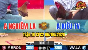 Trận 18 CPC2 05/04/2026 - Bướm Đâm Quá Tịch Điều Hư Hình Nằm Liệt
