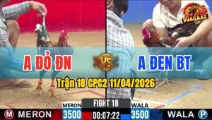 Trận 18 CPC2 11/04/2026 - Đỏ Đá Quá Đâm Xanh Chết Trong Chân Hết Cứu
