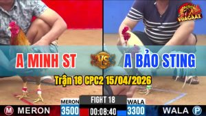 Trận 18 CPC2 15/04/2026 - Xám Đở Quá Hay Bướm Gãy Chân Nằm Biệt