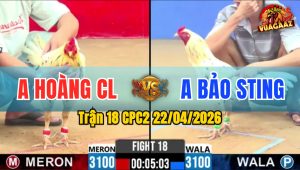 Trận 18 CPC2 22/04/2026 - Gà Bướm Hiệu Của Idol Bảo Sting Đá Thì Khỏi Bàn
