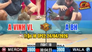 Trận 18 CPC2 24/04/2026 - Gà Điều Có Chân Cựa Chí Mạng