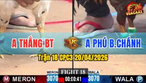Trận 18 CPC3 20/04/2026 - Đỏ Đâm Như Máy Làm Xanh La Miệng Nằm Chịu Đòn