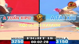 Trận 18 CPC3 31/03/2026 - Xanh Đá Chân Quá Giỏi Đỏ Té Xe