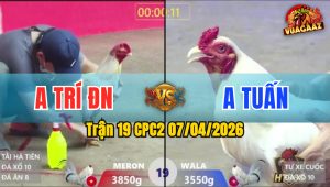 Trận 19 CPC2 07/04/2026 - Bướm Ra Chân Quyết Định Camele Hư Hình Hết Đứng
