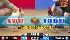 Trận 19 CPC2 09/04/2026 - Khé Đá 2 Chân Bưng Bướm Ra Ngoài