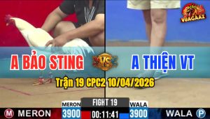 Trận 19 CPC2 10/04/2026 - Idol Quá Hừng Tiếp Tục Phản Tang Ăn 3 Đưa Biện Đi Xa
