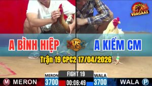 Trận 19 CPC2 17/04/2026 - 1 Tay Nước Bướm Đá Cú Nằm Tại Chỗ