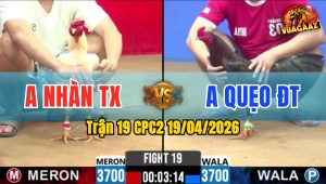 Trận 19 CPC2 19/04/2026 - Xanh Đá Mu Lưng Đâm Đỏ Hết Đứng
