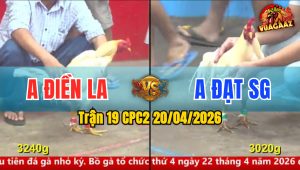 Trận 19 CPC2 20/04/2026 - Chuối Giao Nạp Quá Hay Nhưng Không Có Cựa Điều Lên Chân Chuối Nằm