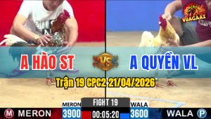 Trận 19 CPC2 21/04/2026 - Bông Đâm Quá Tịch Buông Đuôi Bướm Nằm 1 Đống
