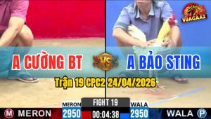 Trận 19 CPC2 24/04/2026 - Bướm Hiệu Của Idol Bảo Sting Ra Quân