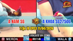 Trận 19 CPC3 11/04/2026 - 2 CON NẠP XIẾT  VÔ TRONG ĐIỀU LEO CÂY MU LƯNG QUÁ HAY  BƯỚM HẾT SỬA