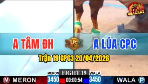 Trận 19 CPC3 20/04/2026 - Đỏ Lao Như Tên Bắn Đâm Gãy Cổ Xanh Mang Lúa Về Cho Chủ