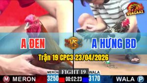 Trận 19 CPC3 23/04/2026 - Gà Điều Siết 1 Tay Nước Bông Lên Đường