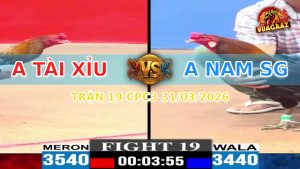 Trận 19 CPC3 31/03/2026 - Gà Anh Nam Đâm Toàn Chỗ Hiểm Lụm Lúa