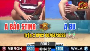 Trận 2 CPC2 08/04/2026 - Chấp Ngông Idol VÀ Cái Kết Nằm Biệt