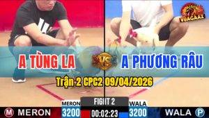 Trận 2 CPC2 09/04/2026 - Bướm Đá Chân Quá Hiểm Xám Hư Hình Nằm Biệt