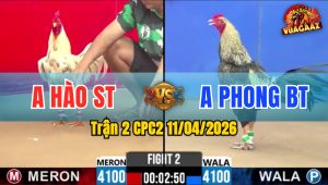 Trận 2 CPC2 11/04/2026 - Bướm Quá Mai Độ Đá Chuối Tốc Chạy Sau 2 Tay Nước