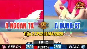 Trận 2 CPC2 12/04/2026 - Đỏ Quá Nhanh Lẹ Đá Xanh Không Kịp Trở Mình