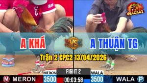 Trận 2 CPC2 13/04/2026 - Điều Đá Que Hư Hình Điều La Miệng Bỏ Đi