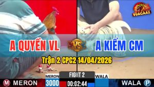 Trận 2 CPC2 14/04/2026 - Bướm Đâm Như Xôm 1 tay Nước Điều Nằm Tại Chỗ