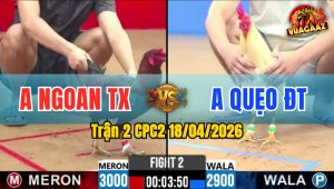 Trận 2 CPC2 18/04/2026 - Bướm Đâm Như Xôm Buôn Đuôi Điều Bay Bồ