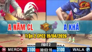 Trận 2 CPC2 19/04/2026 - Xanh Giao Nạp Quá Hay Đỏ Bay Bồ La Miệng Khi Phóng Ngông