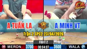 Trận 2 CPC2 23/04/2026 - Gà Bướm Ăn May Có Chân Xạo Lờ Thắng Ngược