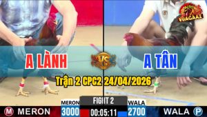 Trận 2 CPC2 24/04/2026 - Gà Xanh Chấp 3 Chấm Mà Đá Bao Thấm
