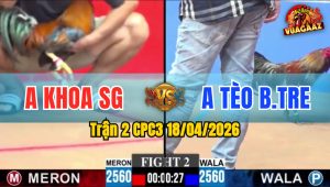 Trận 2 CPC3 18/04/2026 - Điều Trả Chân Dứt Điểm Xám Đẳng Cấp