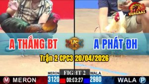Trận 2 CPC3 20/04/2026 - Cả 2 Nhây Tới Cuối Và Cái Kết