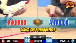 Trận 2 CPC3 25/04/2026 - Gà Anh Táo Đỏ Dí Đối Thủ Hoảng Sợ Bỏ Chạy
