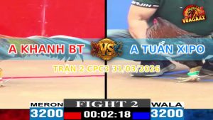 Trận 2 CPC3 31/03/2026 - Xám Chú Khanh Đá Như Búa Bổ Điều Té Tại Mức