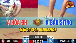 Trận 20 CPC2 04/04/2026 - Xám Quá Đâm 2 Tay Nước Bướm Hư Hình Hết Cứu