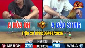 Trận 20 CPC2 06/04/2026 - Xám Quá Đâm 2 Tay Nước Bướm Hư Hình Hết Cứu