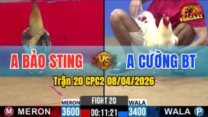 Trận 20 CPC2 08/04/2026 - Xám Buông Đuôi Bưng Úa Ra Ngoài