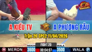Trận 20 CPC2 11/04/2026 - Que Cứng Hình Hết Đá Bướm Quay Đầu Bỏ Chạy