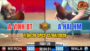 Trận 20 CPC2 12/04/2026 - Xanh Chưa Thả Phóng Ăn 5 Và Kết Nằm 1 Đống