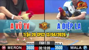 Trận 20 CPC2 13/04/2026 - Chuối Đá Bo Xe Đụng Điều Kêu Miệng Bay Bồ