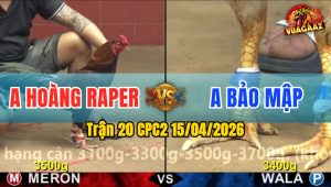 Trận 20 CPC2 15/04/2026 - Trận Hòa Đầu Kịch Tính