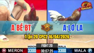 Trận 20 CPC2 16/04/2026 - Khét Quá Lực Đá Xám La Miệng Phút 90