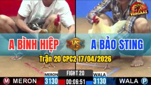 Trận 20 CPC2 17/04/2026 - Úa Đâm Như Xôm Buông Đuôi Cú Nằm Biệt