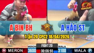 Trận 20 CPC2 18/04/2026 - Chuối Chấp 500g Và Cái Kết Điều Đá Đúng 3 Chân Rinh Ra Ngoài