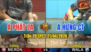 Trận 20 CPC2 21/04/2026 - Điều Đá Bo Quá Lớn 1 Tay Nước Bướm Hư Hình Bưng Ra